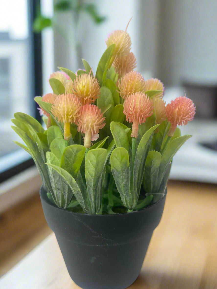 Artificial Protea in a Pot – 20cm