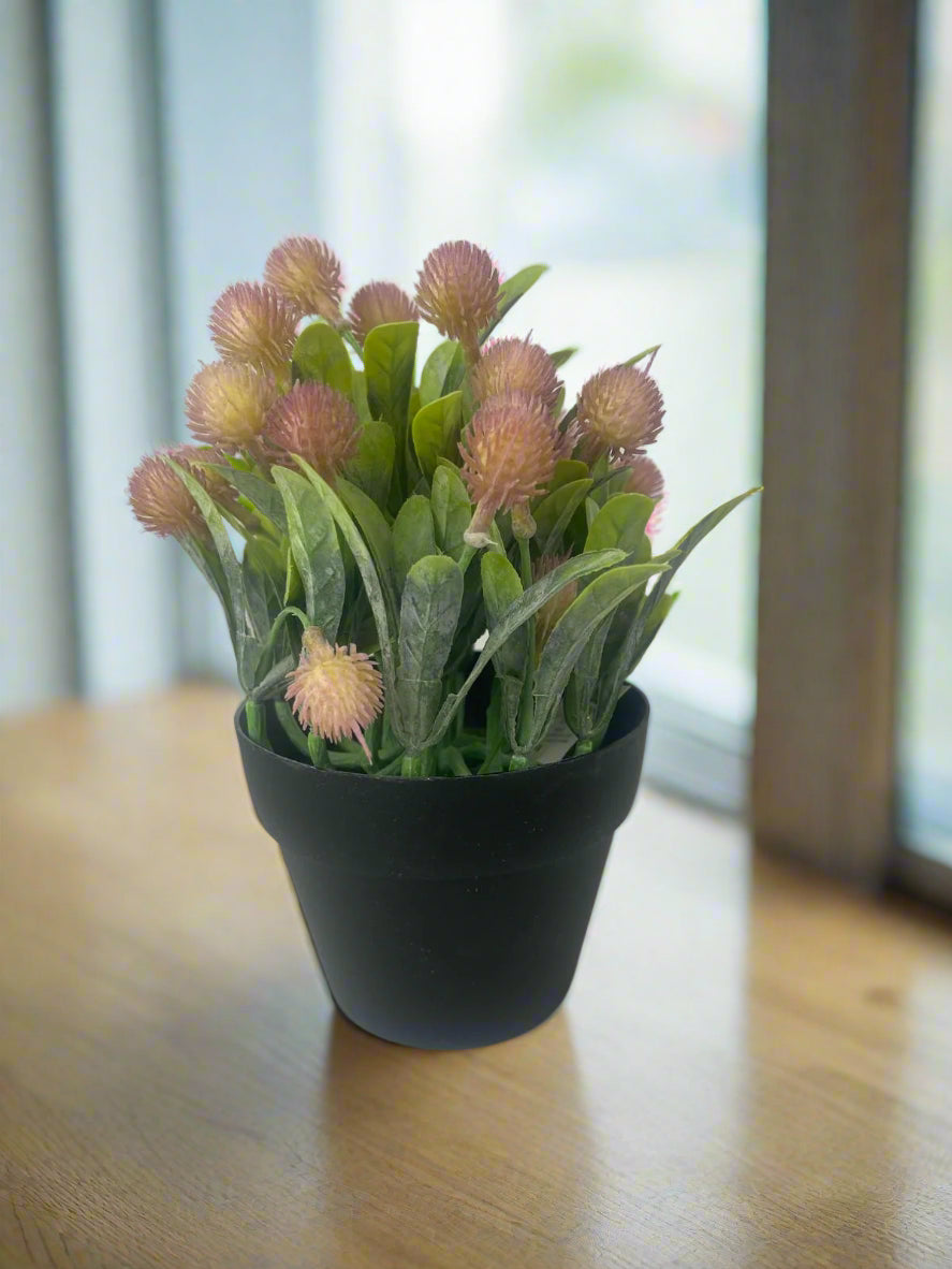 Artificial Protea in a Pot – 20cm