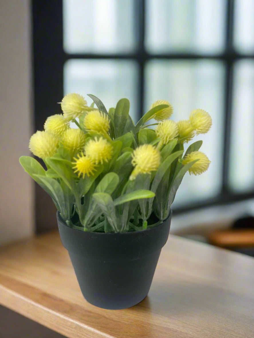 Artificial Protea in a Pot – 20cm