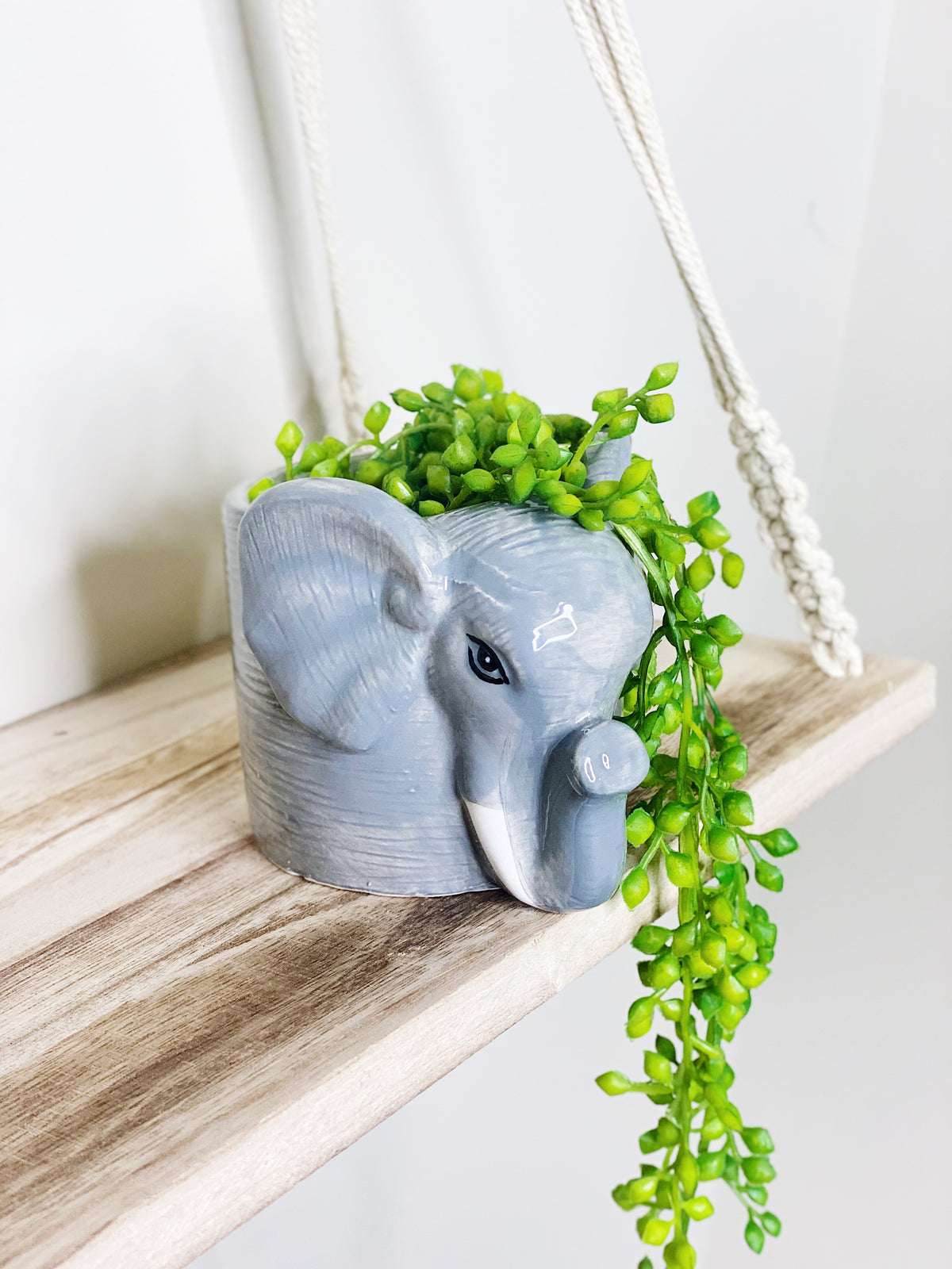 Our Ellie Elephant Ceramic Pot is the perfect eye catching and fun you need in your home or garden! Measures Approx: 9.5 x 11.5 x 8.7 cm.| Bliss Gifts &amp; Homewares | Unit 8, 259 Princes Hwy Ulladulla | South Coast NSW | Online Retail Gift &amp; Homeware Shopping | 0427795959, 44541523