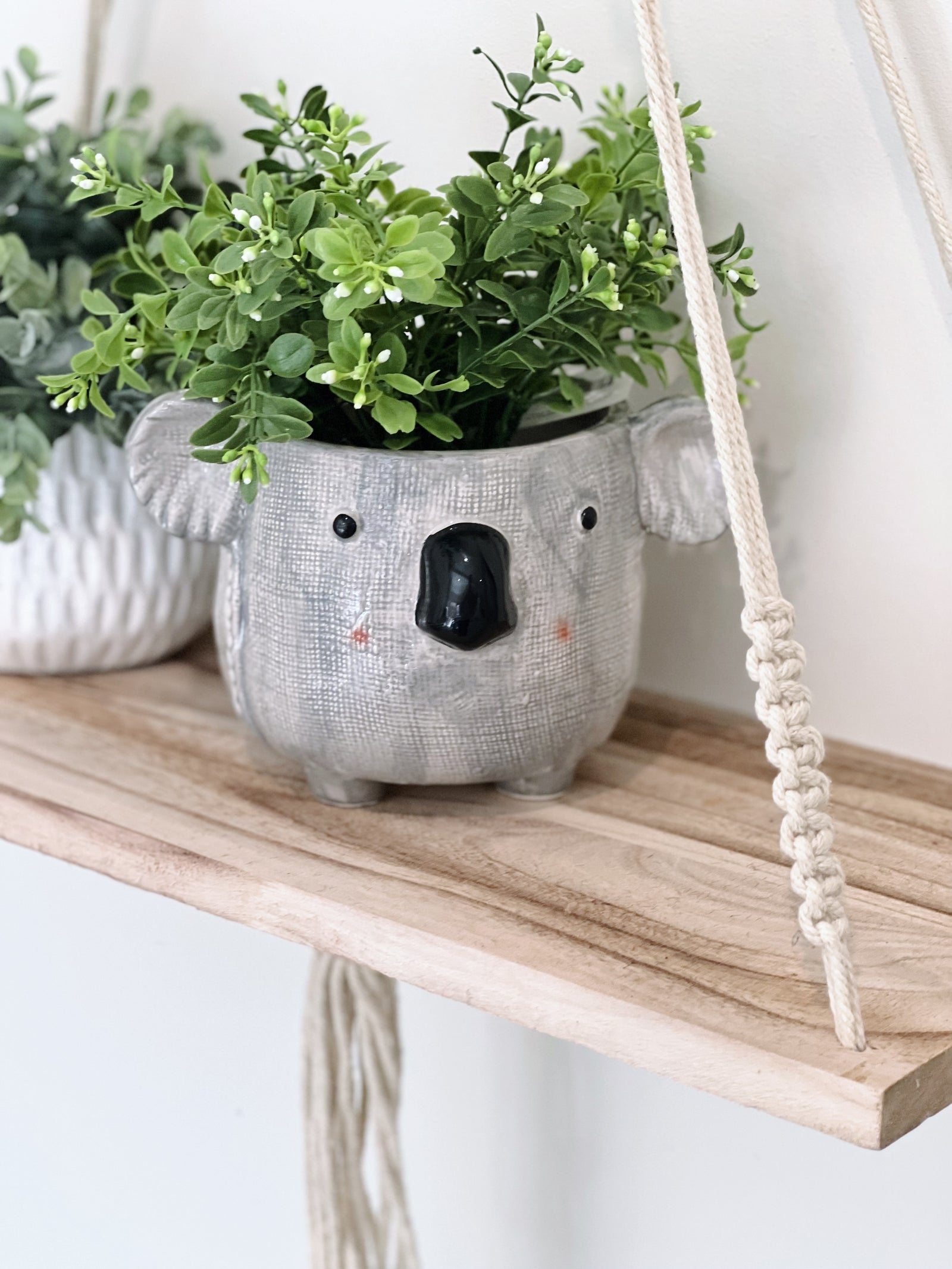 Unique Tooth Indoor Planter Pot Set-2,Funny Small Succulent Plant  Pot,Novelty Home Decor Flower Pot,Cute Halloween Resin Flowerpot,Easter  Island Pen