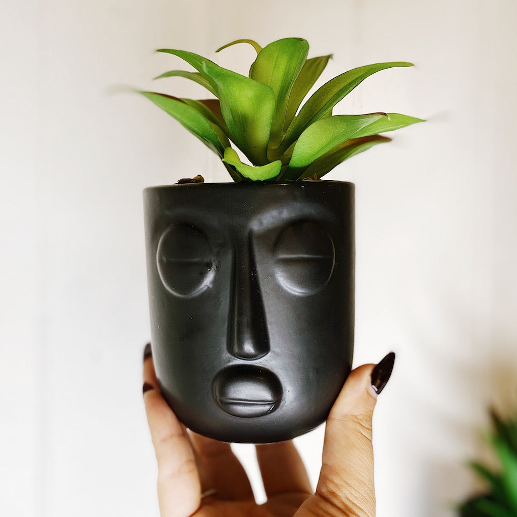 Give your office, bathroom or house space an instant lift with our Rogue Face Pots with Succulent. Our quirky black and white Face pots are full of personality and style. Perfect for adding a splash of green in small spaces.| Bliss Gifts &amp; Homewares | Unit 8, 259 Princes Hwy Ulladulla | South Coast NSW | Online Retail Gift &amp; Homeware Shopping | 0427795959, 44541523