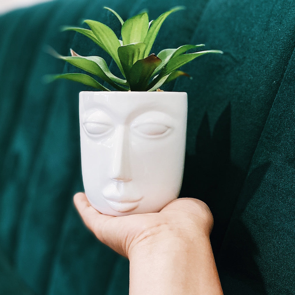 Give your office, bathroom or house space an instant lift with our Rogue Face Pots with Succulent. Our quirky black and white Face pots are full of personality and style. Perfect for adding a splash of green in small spaces.| Bliss Gifts &amp; Homewares | Unit 8, 259 Princes Hwy Ulladulla | South Coast NSW | Online Retail Gift &amp; Homeware Shopping | 0427795959, 44541523