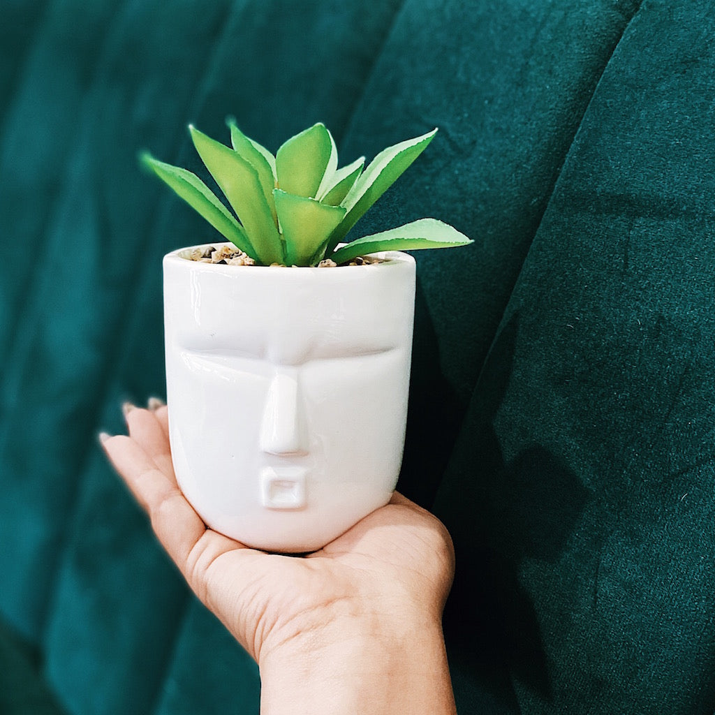 Give your office, bathroom or house space an instant lift with our Rogue Face Pots with Succulent. Our quirky black and white Face pots are full of personality and style. Perfect for adding a splash of green in small spaces.| Bliss Gifts &amp; Homewares | Unit 8, 259 Princes Hwy Ulladulla | South Coast NSW | Online Retail Gift &amp; Homeware Shopping | 0427795959, 44541523