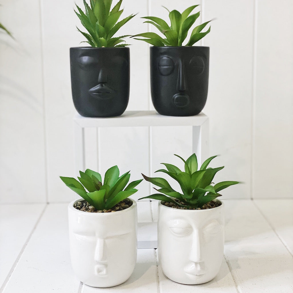 Give your office, bathroom or house space an instant lift with our Rogue Face Pots with Succulent. Our quirky black and white Face pots are full of personality and style. Perfect for adding a splash of green in small spaces.| Bliss Gifts &amp; Homewares | Unit 8, 259 Princes Hwy Ulladulla | South Coast NSW | Online Retail Gift &amp; Homeware Shopping | 0427795959, 44541523