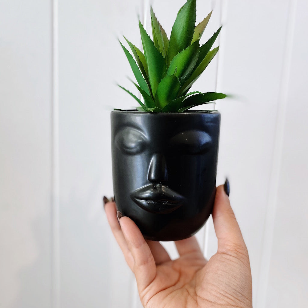 Give your office, bathroom or house space an instant lift with our Rogue Face Pots with Succulent. Our quirky black and white Face pots are full of personality and style. Perfect for adding a splash of green in small spaces.| Bliss Gifts &amp; Homewares | Unit 8, 259 Princes Hwy Ulladulla | South Coast NSW | Online Retail Gift &amp; Homeware Shopping | 0427795959, 44541523