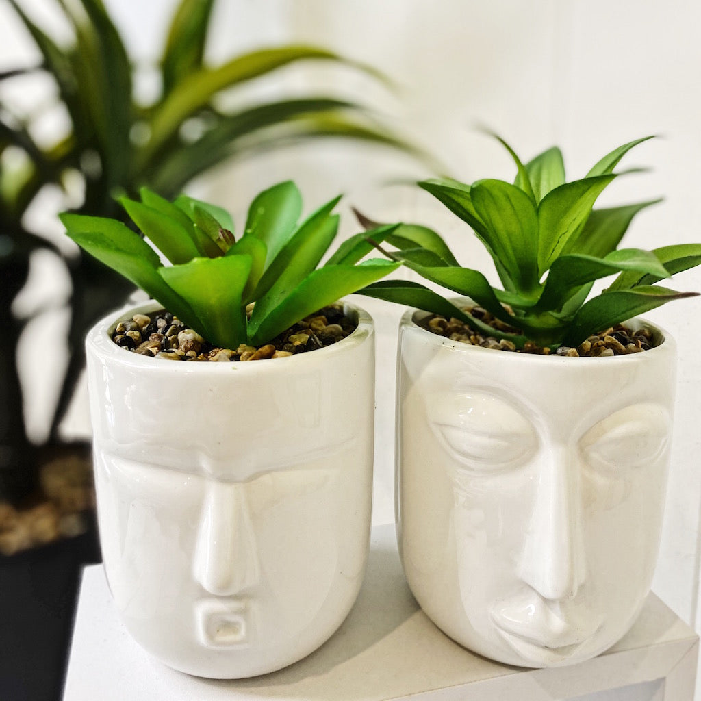 Give your office, bathroom or house space an instant lift with our Rogue Face Pots with Succulent. Our quirky black and white Face pots are full of personality and style. Perfect for adding a splash of green in small spaces.| Bliss Gifts &amp; Homewares | Unit 8, 259 Princes Hwy Ulladulla | South Coast NSW | Online Retail Gift &amp; Homeware Shopping | 0427795959, 44541523